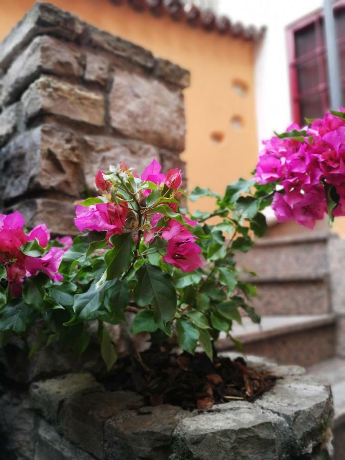 La Corte Dell'angelo Apartment